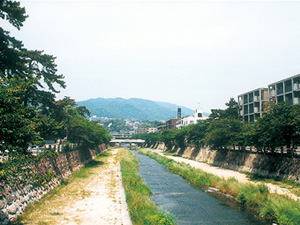 芦屋川