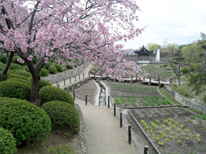 水月公園