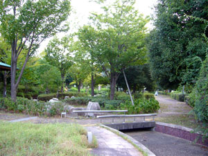 じゃぶじゃぶ公園