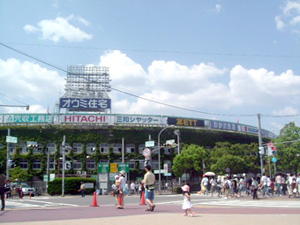 甲子園球場