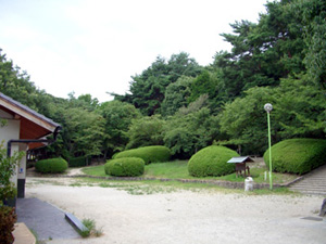 紫金山公園