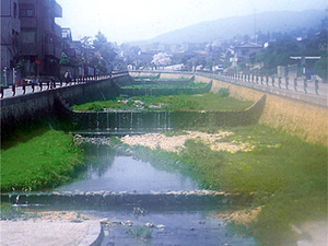 逆瀬川